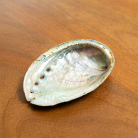Concha de Abalone Sagrada: Conexión Marina, Sabiduría Ancestral y Ritual de Limpieza