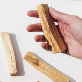 Palo Santo Sagrado: Limpieza Energética, Purificación y Recolección Sostenible